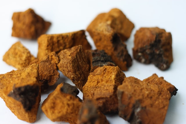 Adaptogens - what are they? We discuss the properties of adaptogens